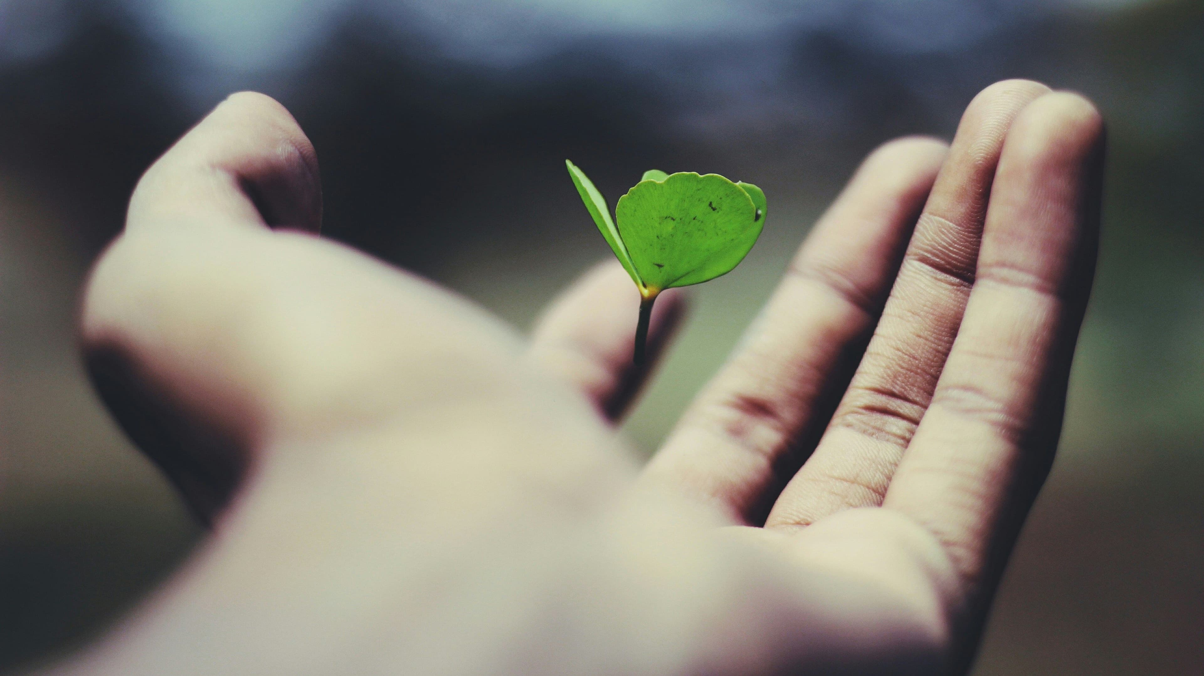How to Scale a Software Platform Without Rebuilding It From Scratch